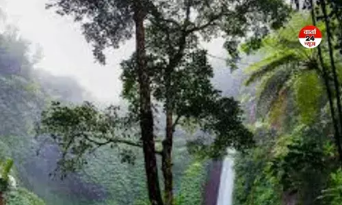 क्या आप जानते हैं दुनिया में सबसे अधिक बारिश भारत में होती है, जानें किस राज्य में और क्यों क्या आप जानते हैं दुनिया में सबसे अधिक बारिश भारत में होती है, जानें किस राज्य में और क्यों