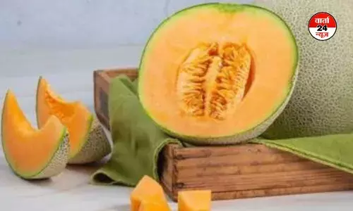 गर्मी के सीजन में खूब खाएं खरबूजा! जानें क्या हैं इसके फायदे और सही टाइमिंग