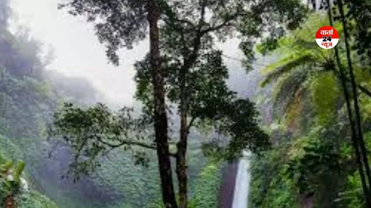 क्या आप जानते हैं दुनिया में सबसे अधिक बारिश भारत में होती है, जानें किस राज्य में और क्यों क्या आप जानते हैं दुनिया में सबसे अधिक बारिश भारत में होती है, जानें किस राज्य में और क्यों