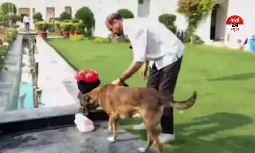 दिल्ली विधानसभा सुरक्षा में सेंध लगाने वाले आरोपी सरबजीत सिंह को कोर्ट ने 8 दिनों की पुलिस हिरासत में भेजा, जानें कौन है सरबजीत