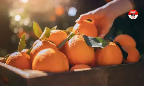 गर्मियों में संतरा खाने से होता है गजब के फायदे, खाली पेट या ज्यादा खाने से बचे, नहीं तो सेहत में हो सकता है यह नुकसान