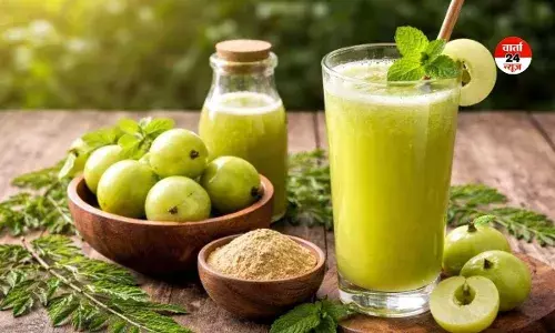 गर्मियों में आंवला जूस पीने से होता है गजब के फायदे! लू और हीट स्ट्रोक से करता है बचाव, जानें पीने का सही तरीका