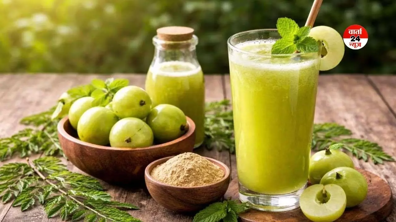 गर्मियों में आंवला जूस पीने से होता है गजब के फायदे! लू और हीट स्ट्रोक से करता है बचाव, जानें पीने का सही तरीका गर्मियों में आंवला जूस पीने से होता है गजब के फायदे! लू और हीट स्ट्रोक से करता है बचाव, जानें पीने का सही तरीका