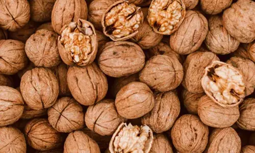 अखरोट खाने से दिमाग कैसे मजबूत होता है, जानें इनमें कौन से पोषक तत्व होते हैं...