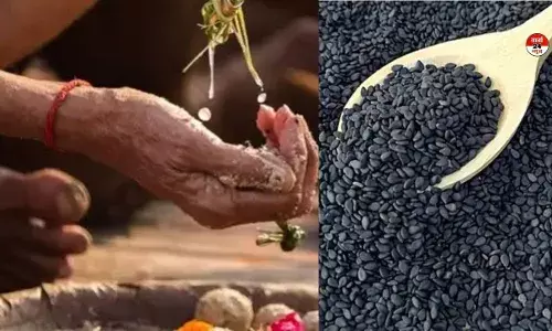 सर्वपितृ अमावस्या 2026: पितरों की विदाई के साथ शनिवार को बनेगा शनि अमावस्या का संयोग सर्वपितृ अमावस्या 2026: पितरों की विदाई के साथ शनिवार को बनेगा शनि अमावस्या का संयोग